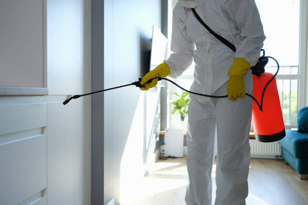 Best Commercial Mold Removal  in Loveland, CO